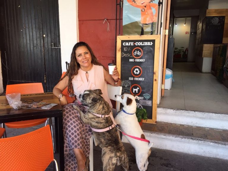 Lugares en Puebla "Pet Friendly" para divertirte con tu