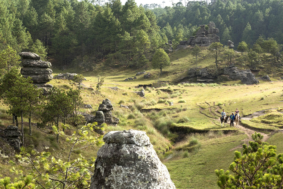 Visita Zacatl N Y Conoce El Valle De Piedras Encimadas